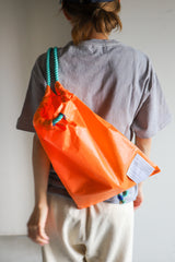 Delivery knapsack / ORANGE