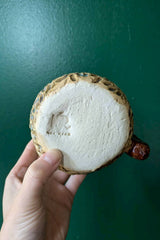 EGG MAG - Claw marks 爪痕